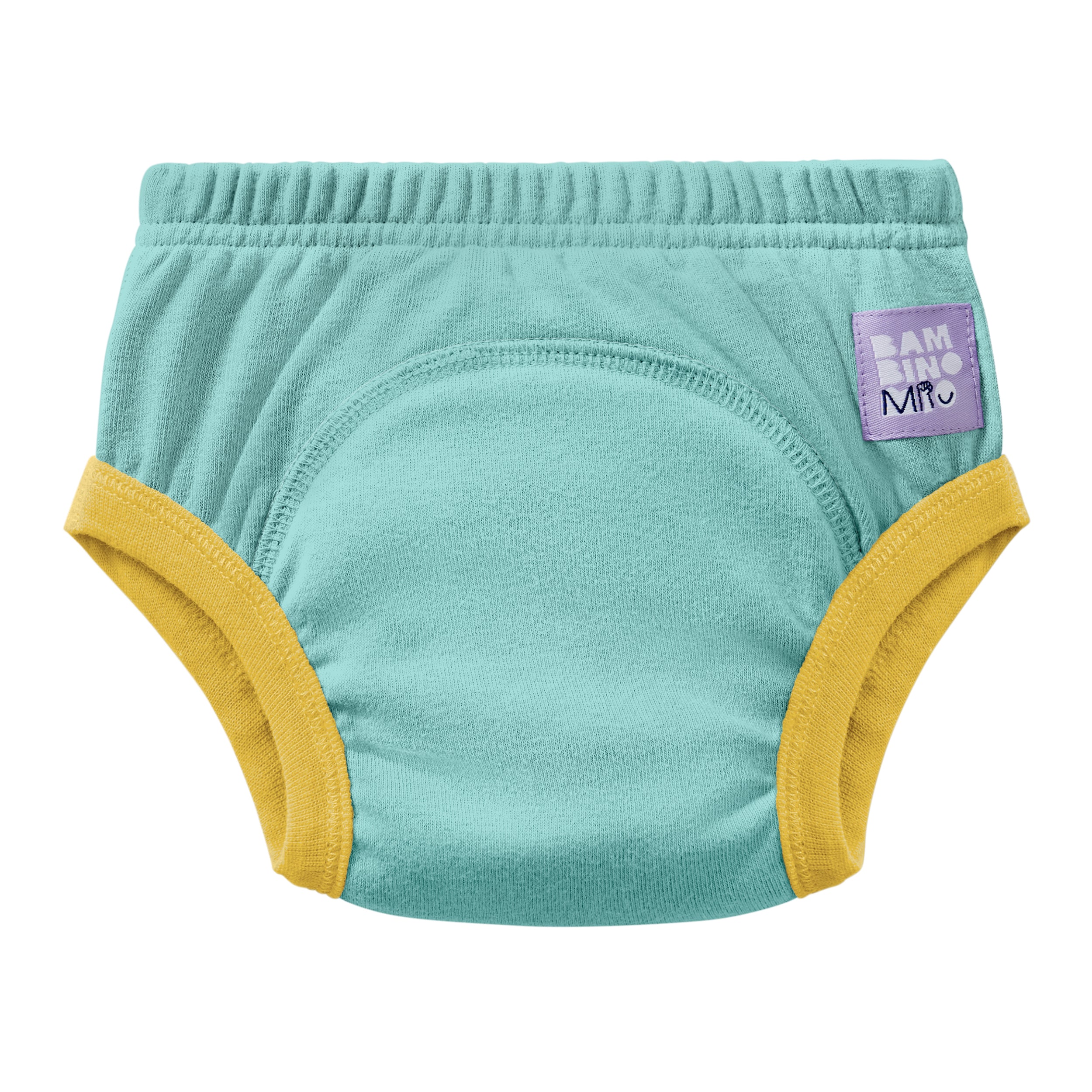 Reusable Potty Training Pants in Aqua - New and Improved! - Bambino Mio (EU)