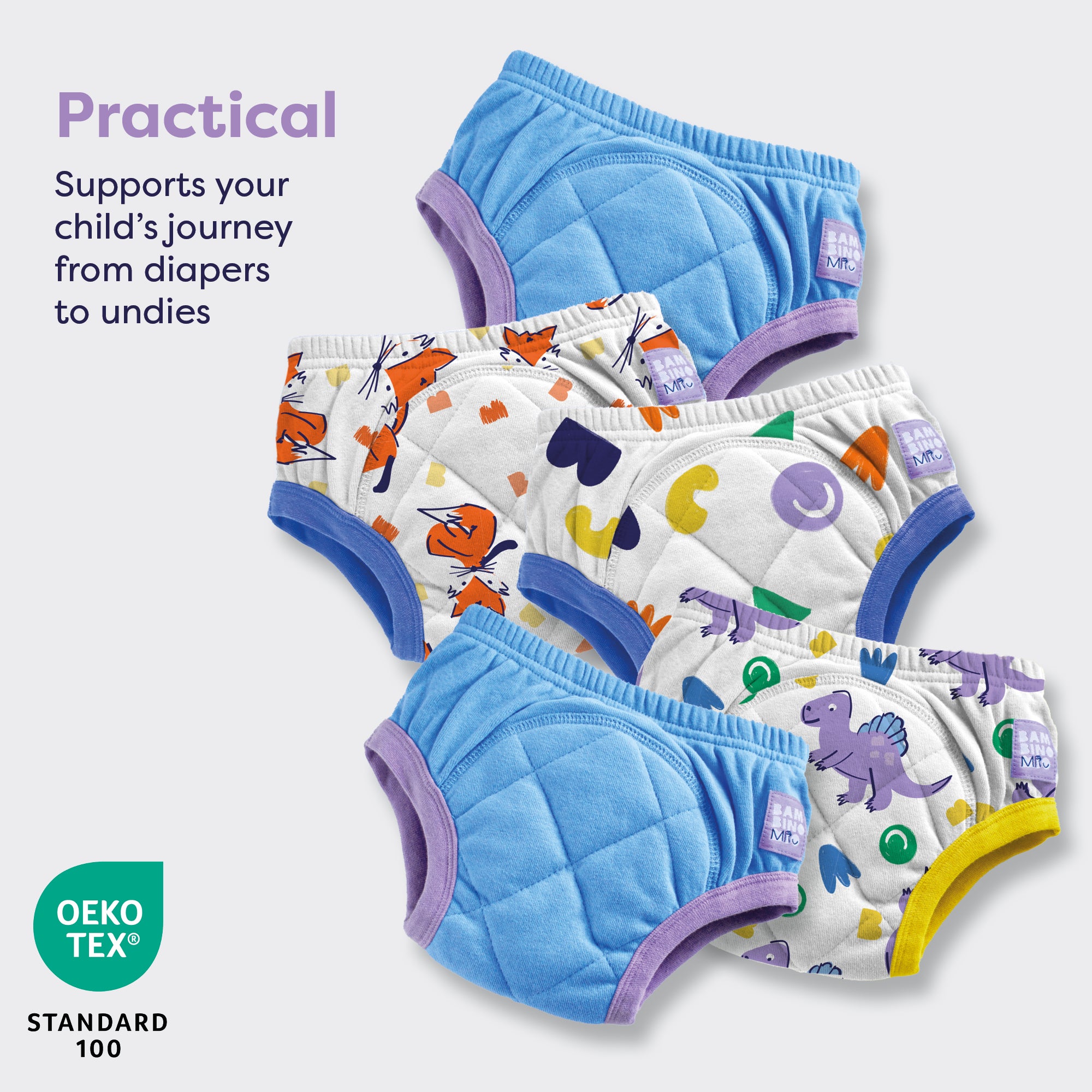 5 Pack Reusable Potty Training Pants in Blue Roar