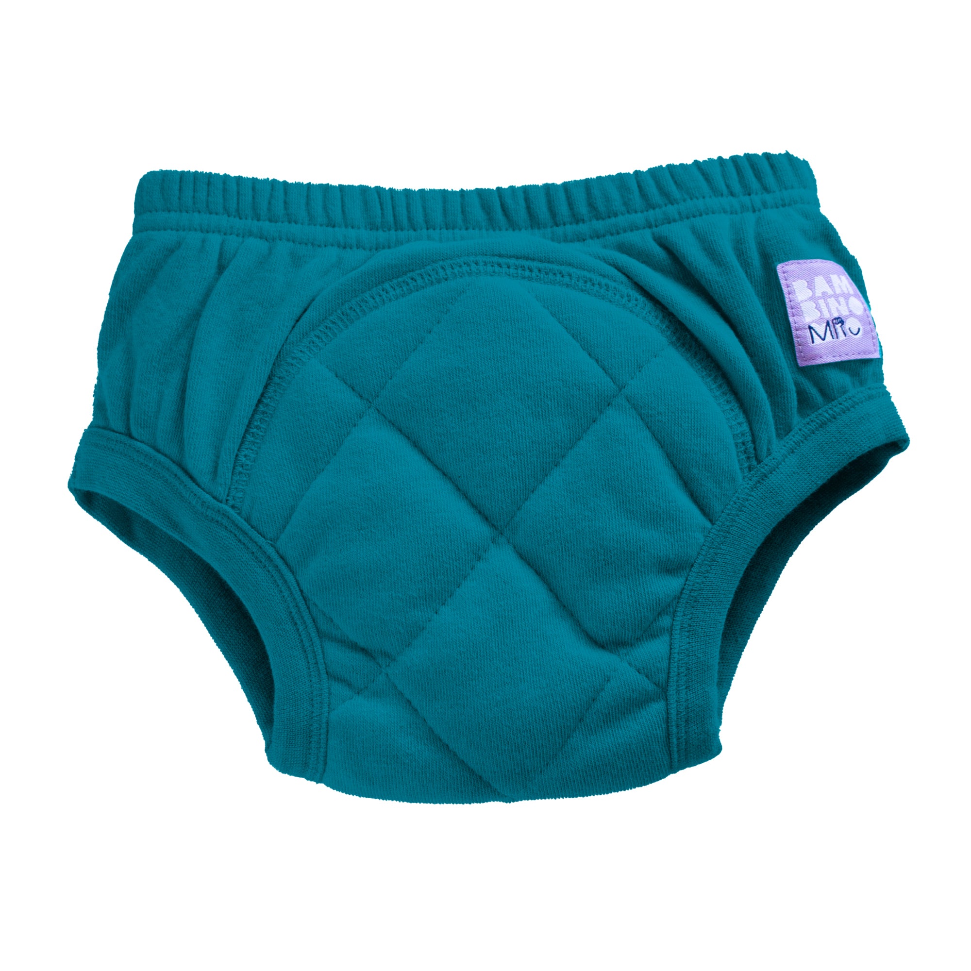 Reusable Potty Training Pants in Teal - Bambino Mio (EU)